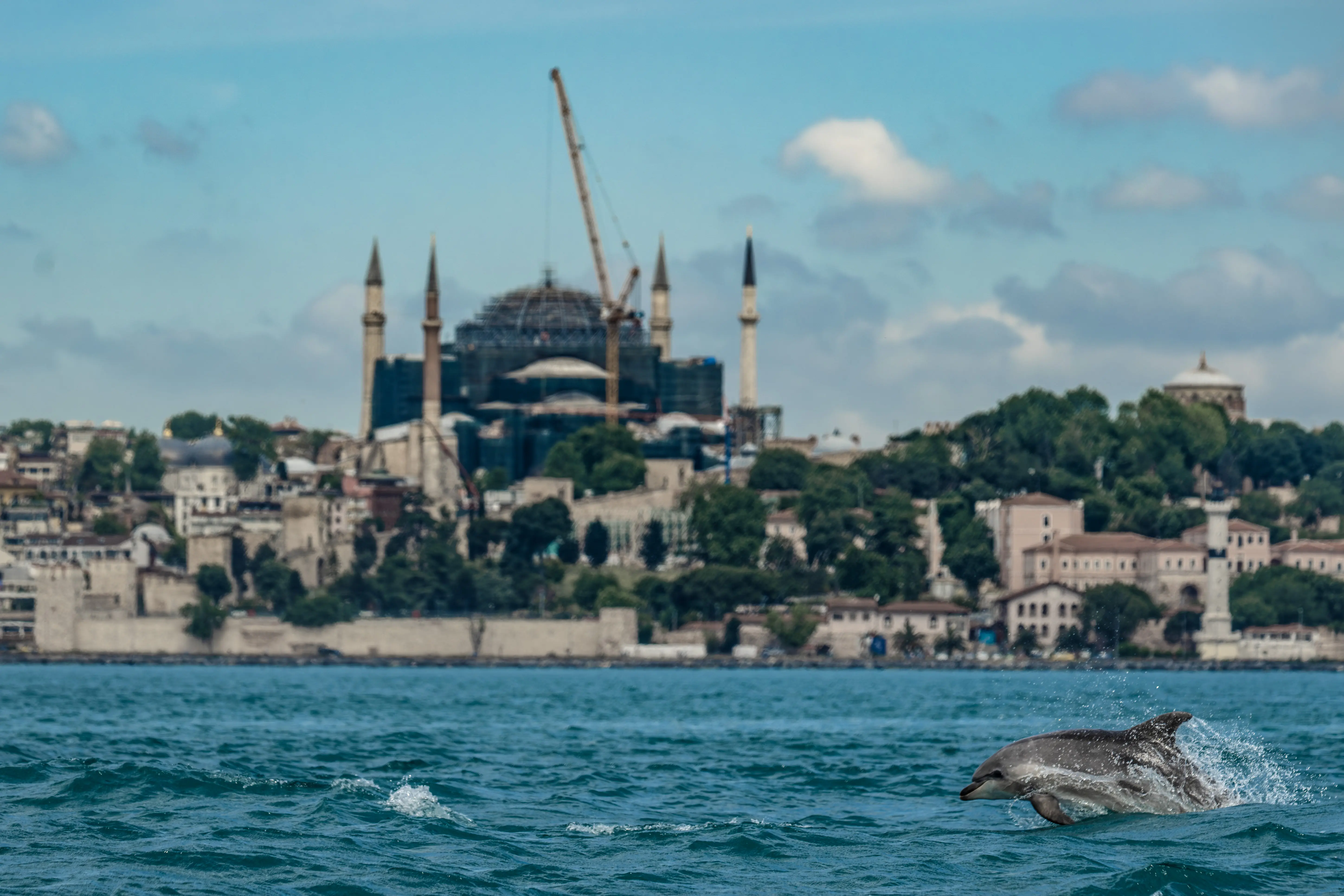 Bakanlık Marmara Denizi için düğmeye bastı: 5 yıllık kurtarma planı devreye alınacak