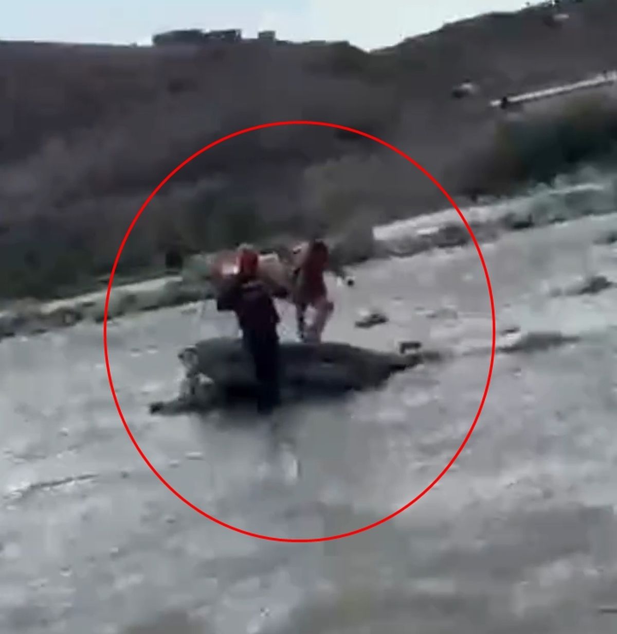 Siirt'te Kezer Çayı'nda mahsur kalan çocuk AFAD ekipleri tarafından kurtarıldı