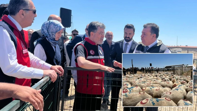 Bakanlıktan 1600 üreticiye 160 bin küçükbaş hayvan desteği