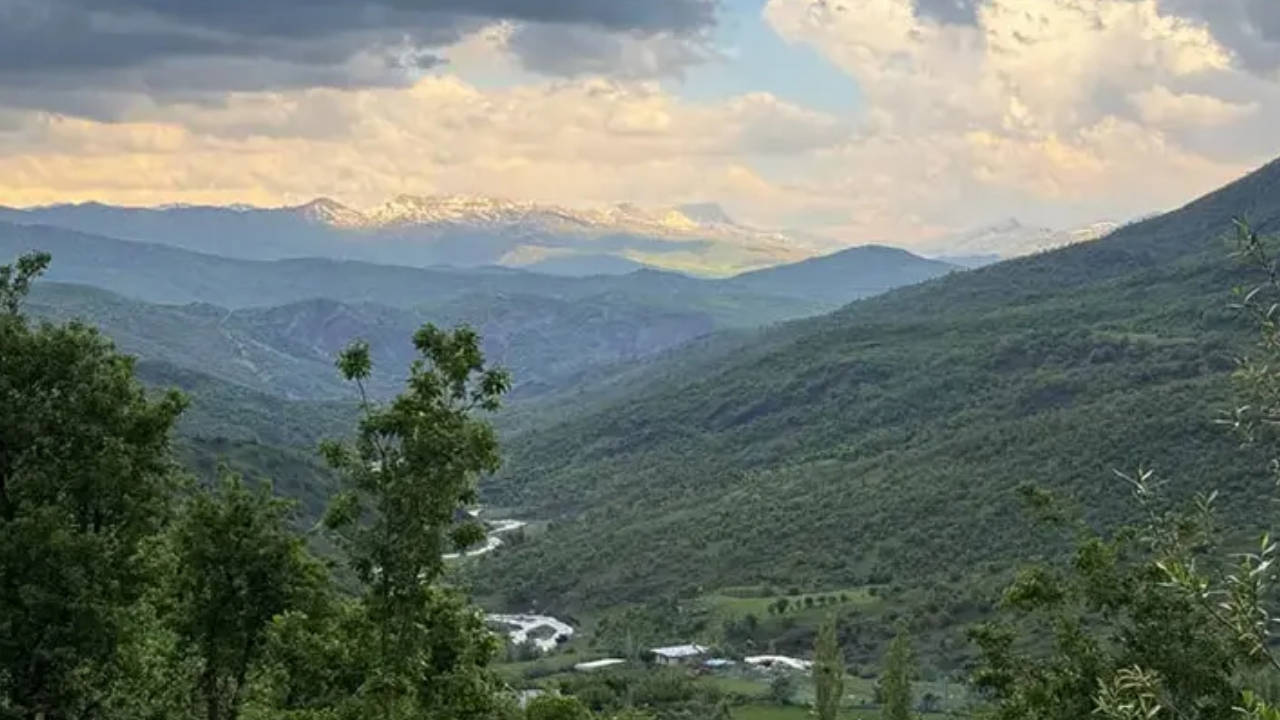 Şırnak'ta ormanlara giriş yasaklandı