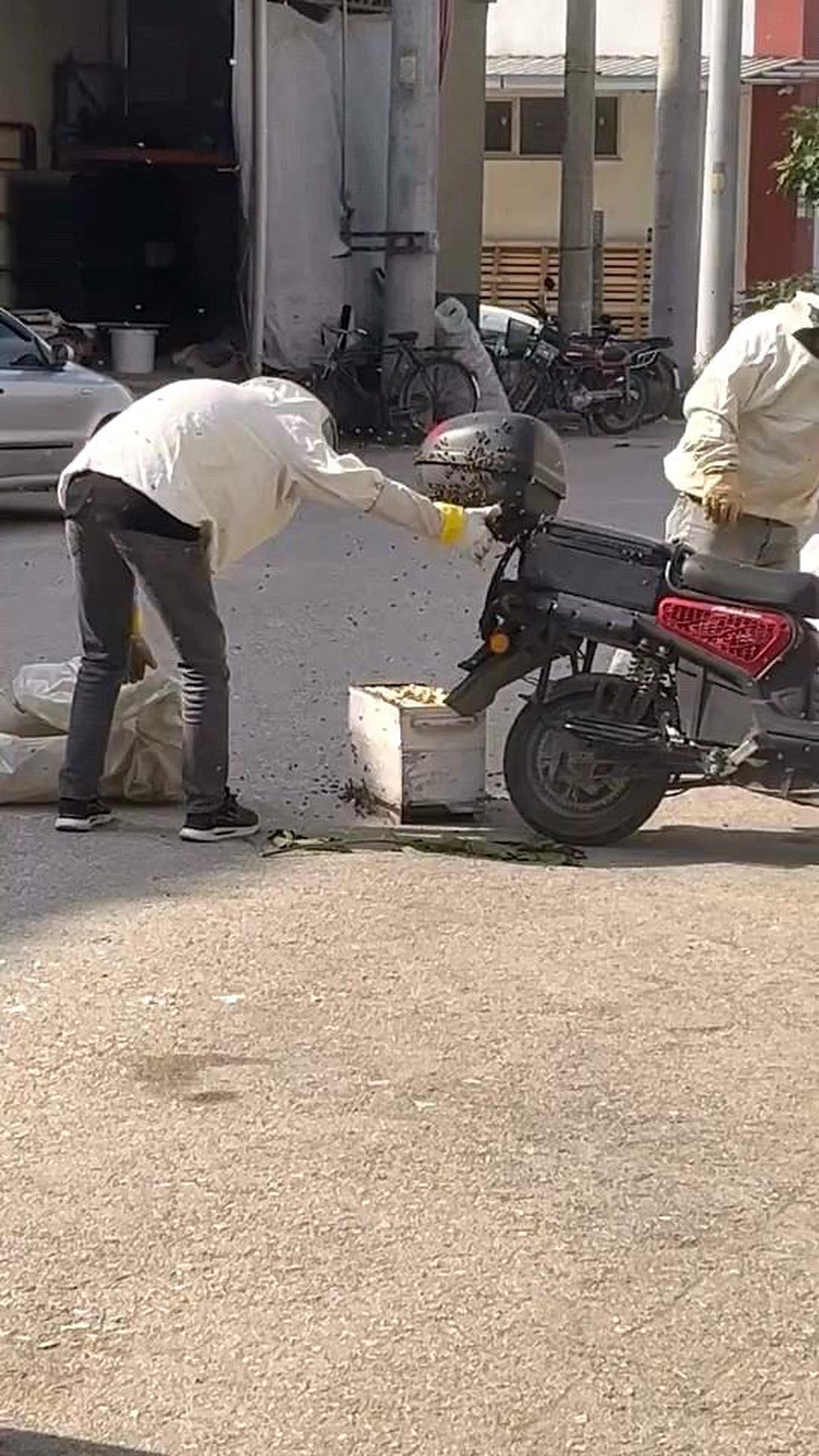 Arılar motosiklette oğul verdi