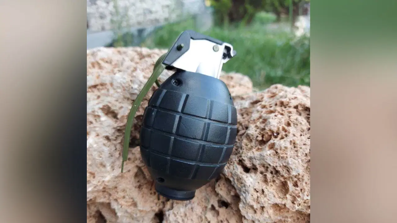 Mantar ararken el bombası buldu