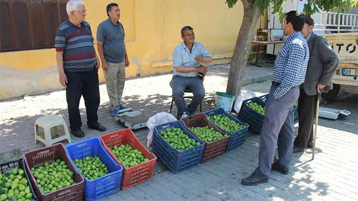 Bu pazarda meyve değil ilek satılıyor! Kilosu 500 TL'den kapış kapış gidiyor