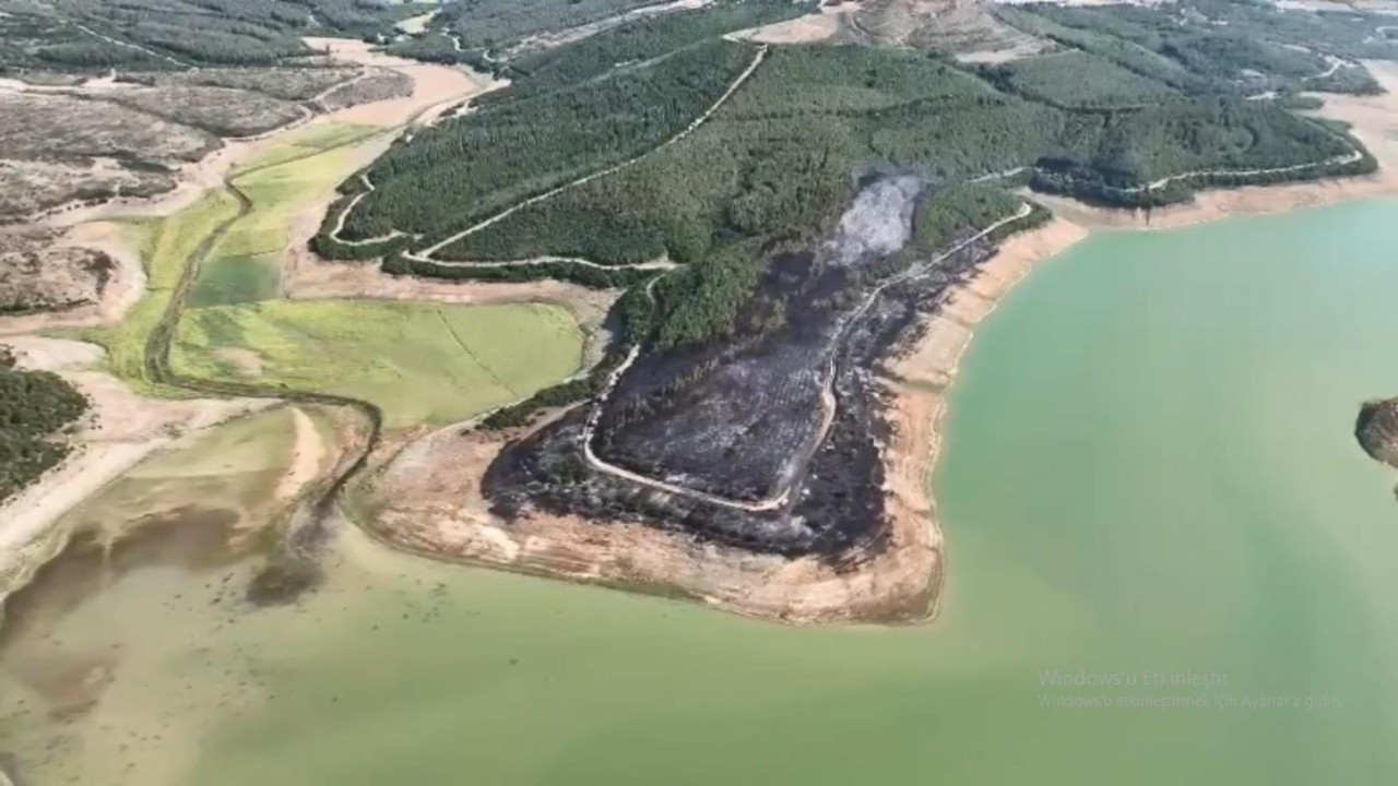 Tekirdağ'da orman yangını kontrol altında