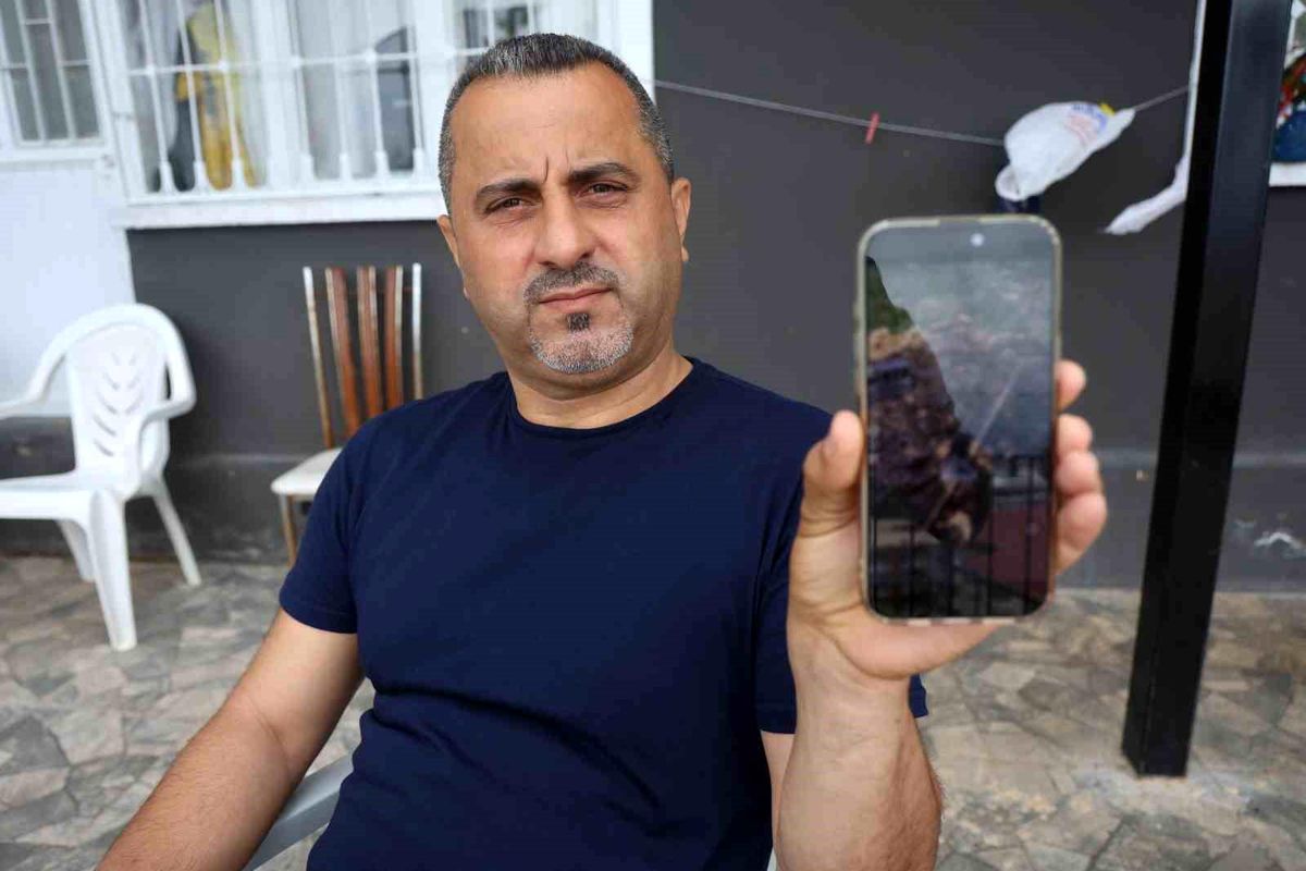 Çukura düşen dikenli kirpiyi kurtaran doğaseverin yürek ısıtan iyiliği sosyal medyada ilgi odağı oldu