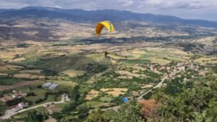 Paraşütçü ağaca kontrollü iniş yaptı! Çevredekileri endişeyle izledi