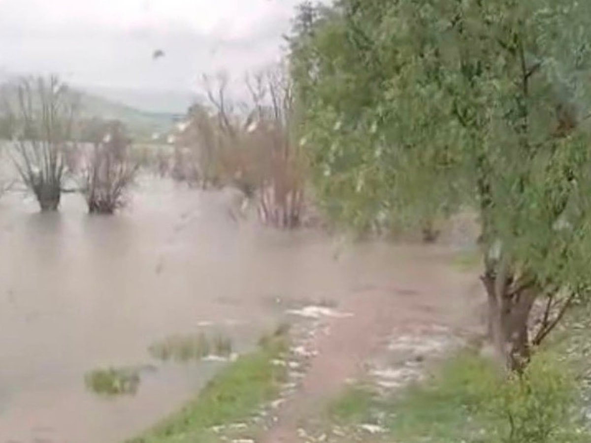 Bolu'da sağanak: Bahçe ve ahırlar sular altında kaldı
