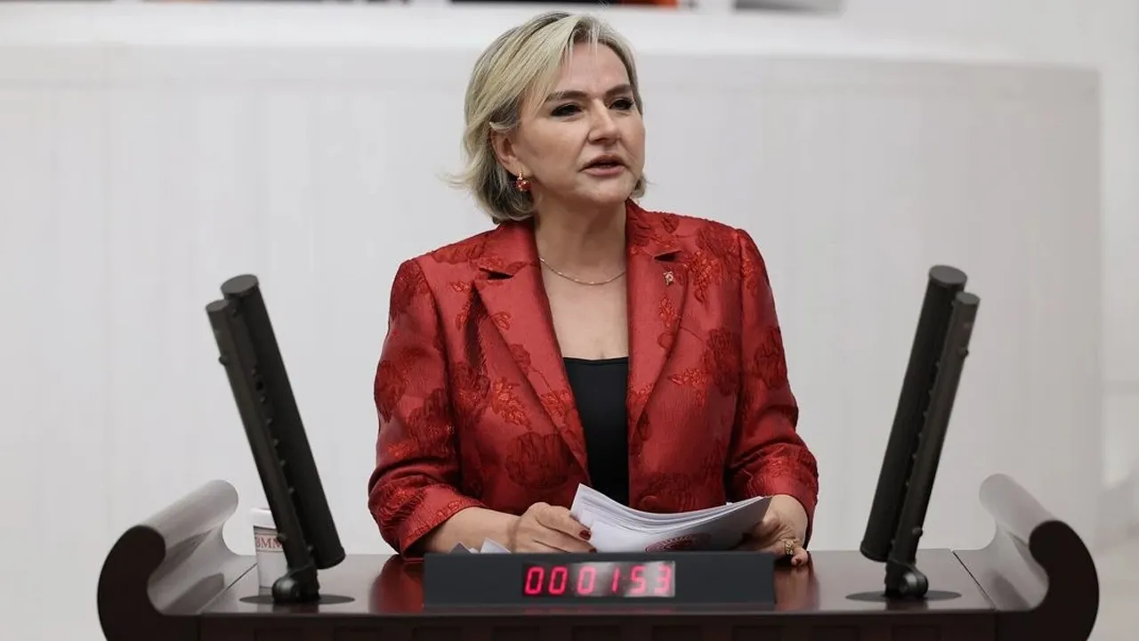 CHP Milletvekili Nimet Özdemir, partisinden istifa etti