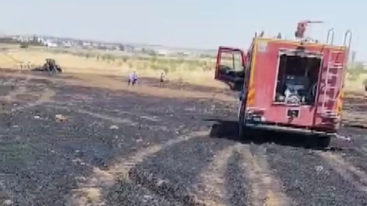 Mardin'deki yangında 40 dönüm buğday arazisi zarar gördü