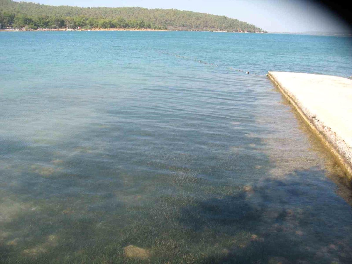 Didim'in deniz suyu kalitesi dikkat çekti