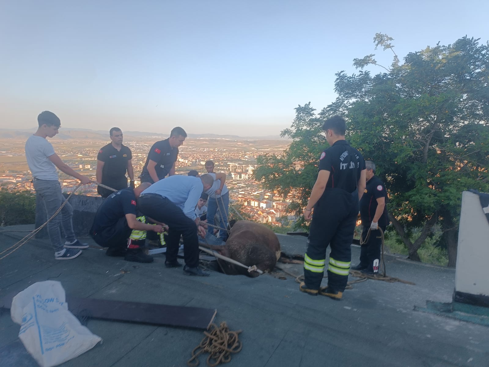 Afyonkarahisar'da bir evin çatısında sıkışan ineği itfaiye kurtardı