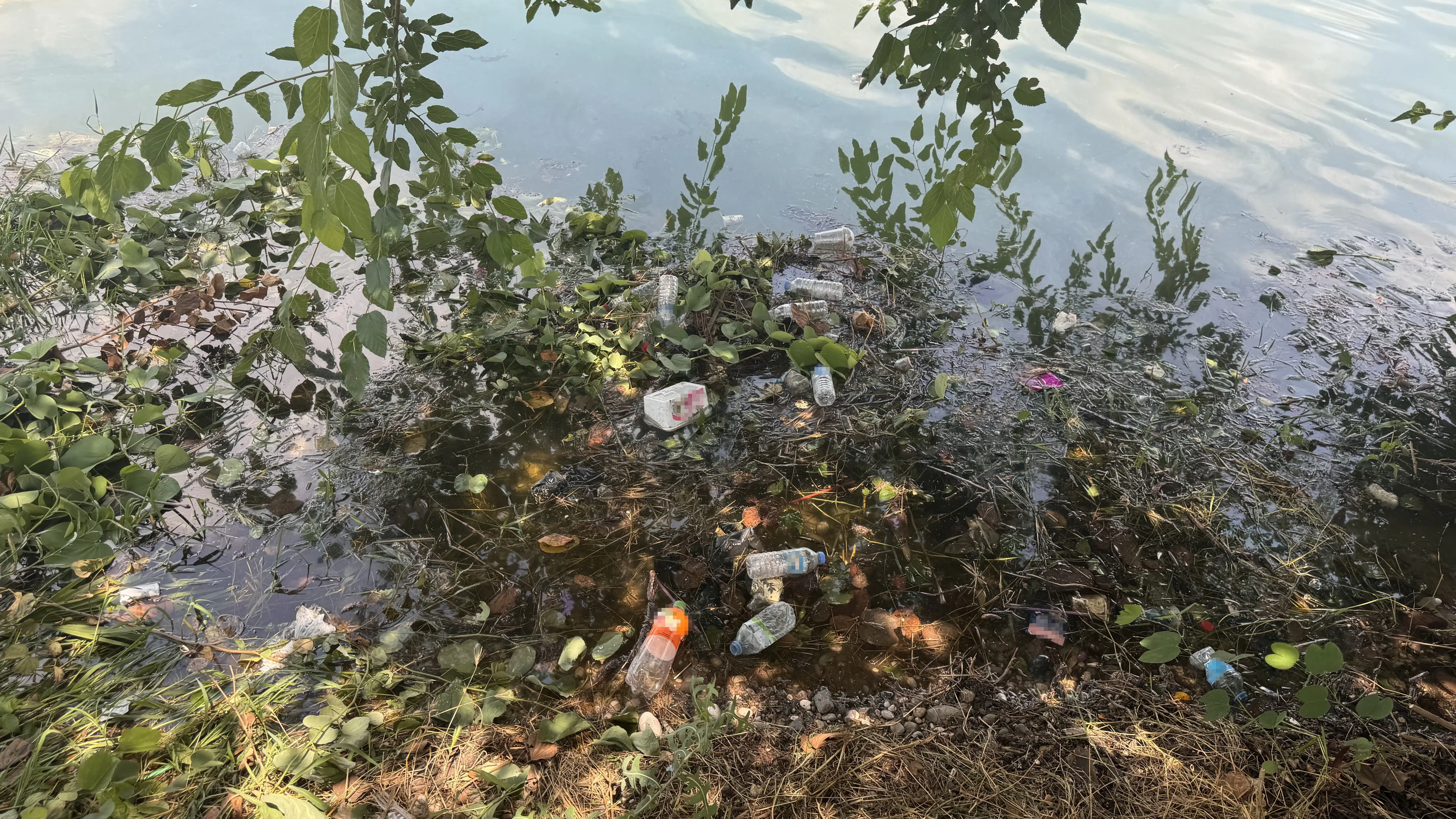 CHP'li belediye yönetimi izliyor! Turistlerin uğrak noktası pislik içinde