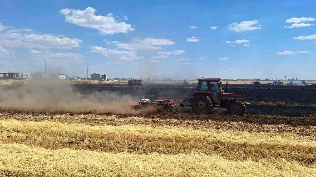 Mardin'de 80 dönüm buğday ekili alan küle döndü