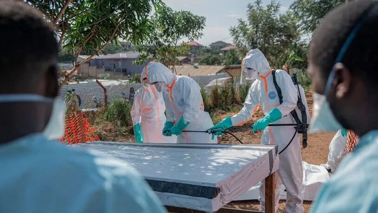 Kongo'da Ebola salgınında vaka sayısı 1926’ya yükseldi