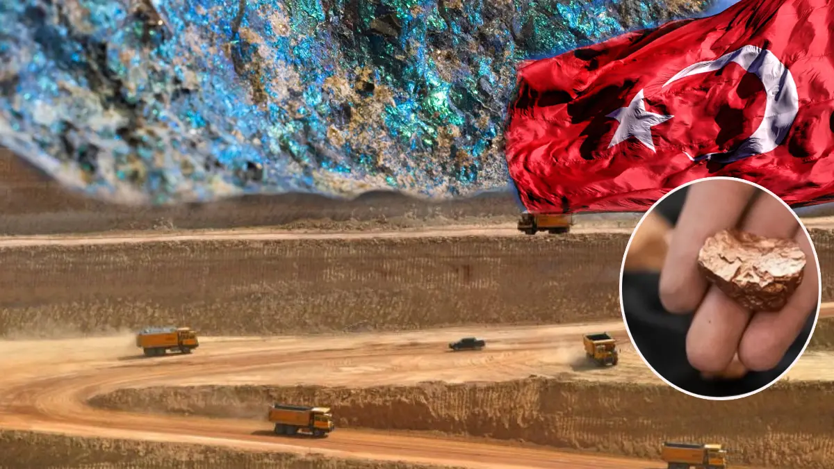 Savunma, kritik mineraller, doğal gaz daveti! Tüm yatırımlarda Türkiye'yi görmek istiyorlar: Güçlerimizi birleştirerek birlikte hareket edelim
