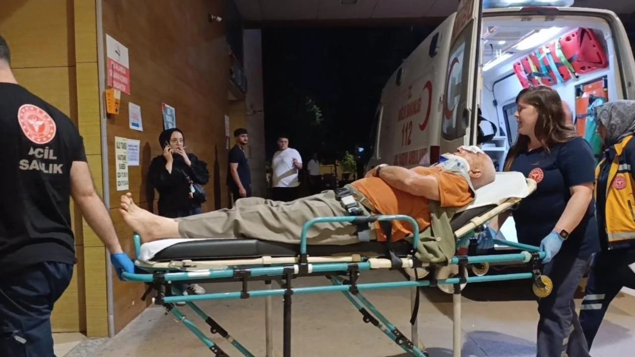 Erik toplarken ağaçtan düştü: Hastanelik oldu