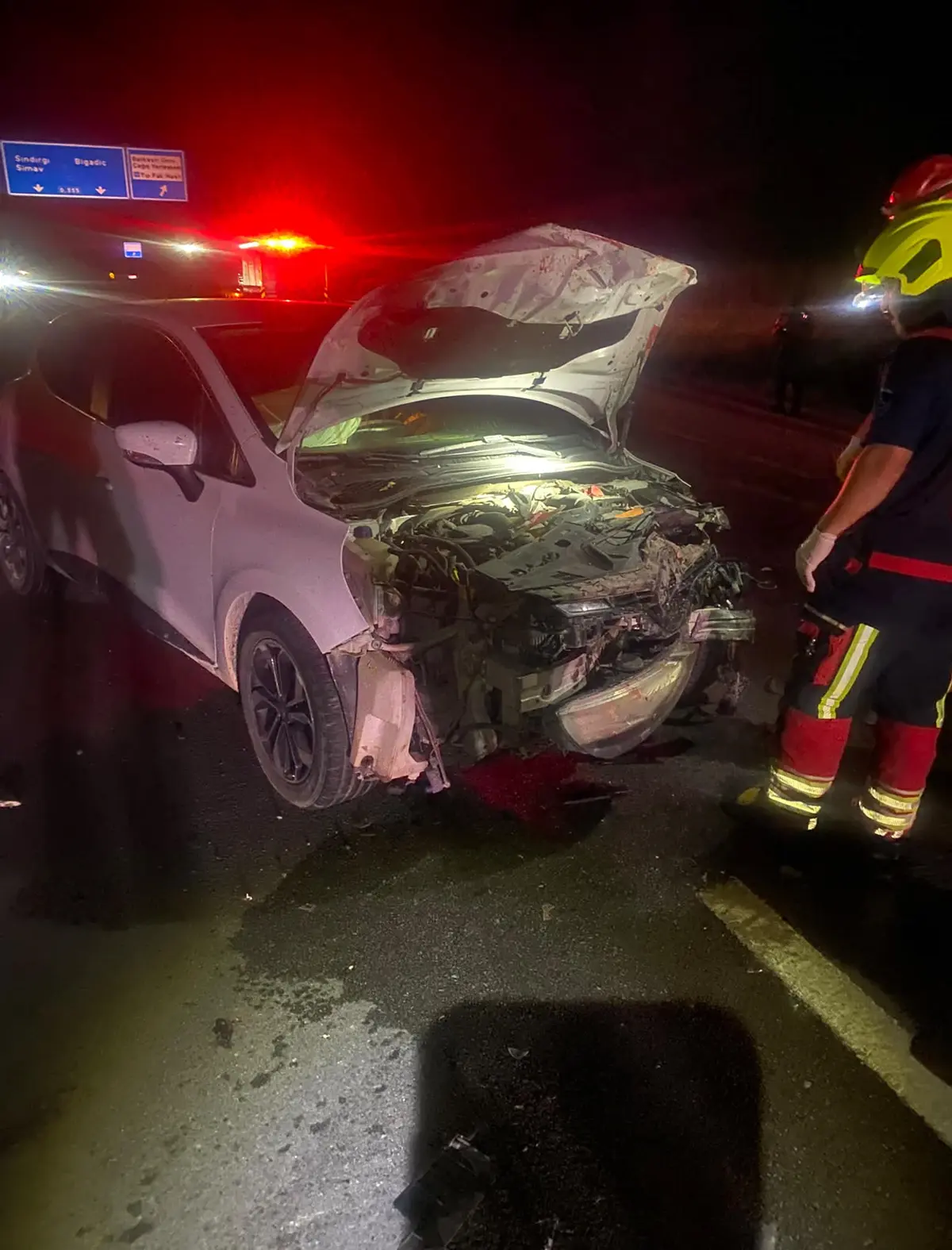 Balıkesir'de otomobilin çarptığı 7 küçükbaş hayvan telef oldu