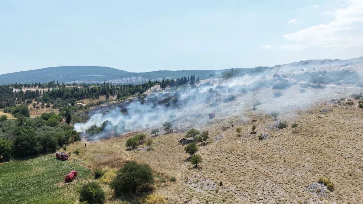 Muğla'da korkutan orman yangını!