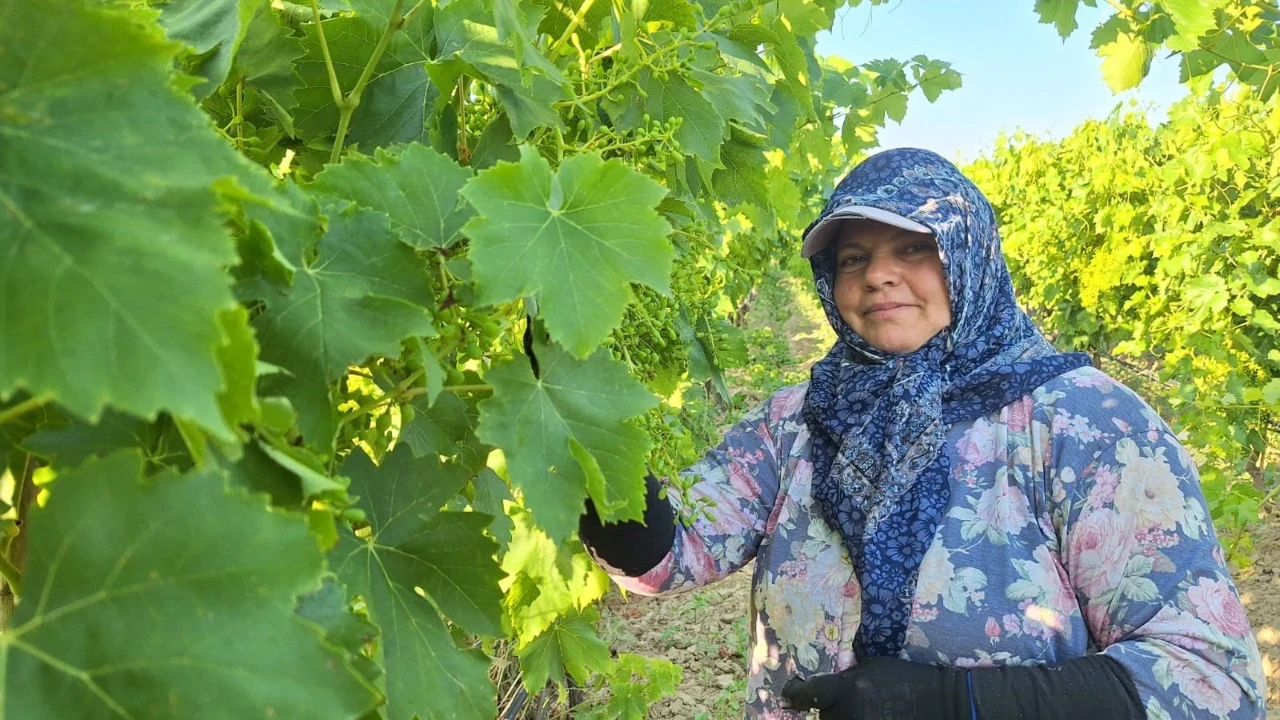 Günlük 1300 TL kazanç sağlıyorlar: 1 ayda asgari ücretten fazla kazanıyorlar