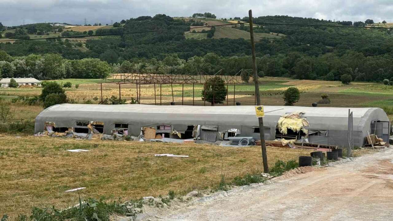 Sakarya’da çiftlik yangını: Binlerce liralık zarar, 5 kuzu telef oldu