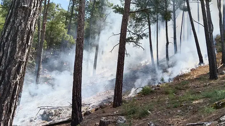 Antalya'da yıldırım düştü, ormanda yangın çıktı