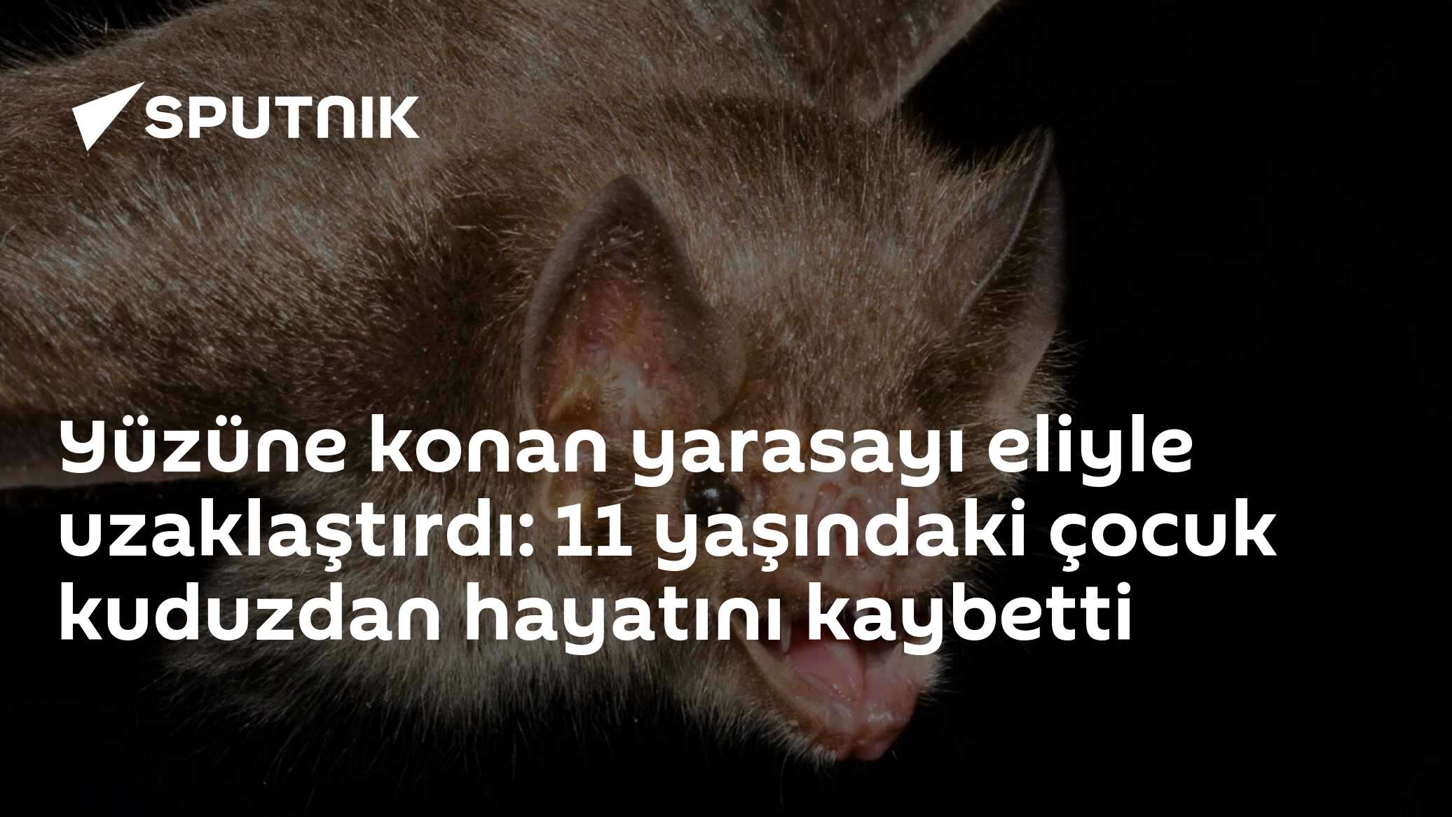 Yüzüne konan yarasayı eliyle uzaklaştırdı: 11 yaşındaki çocuk kuduzdan hayatını kaybetti