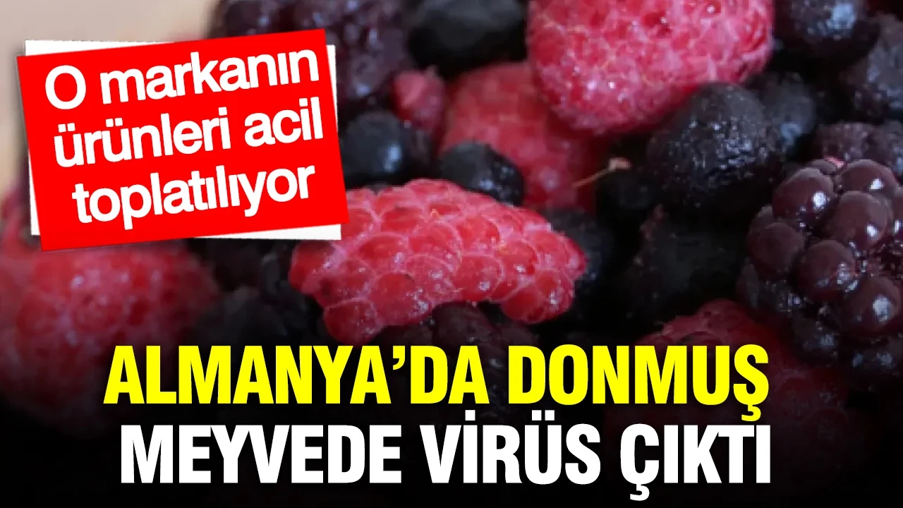 Almanya’da donmuş meyvede virüs çıktı: O markanın ürünleri acil toplatılıyor