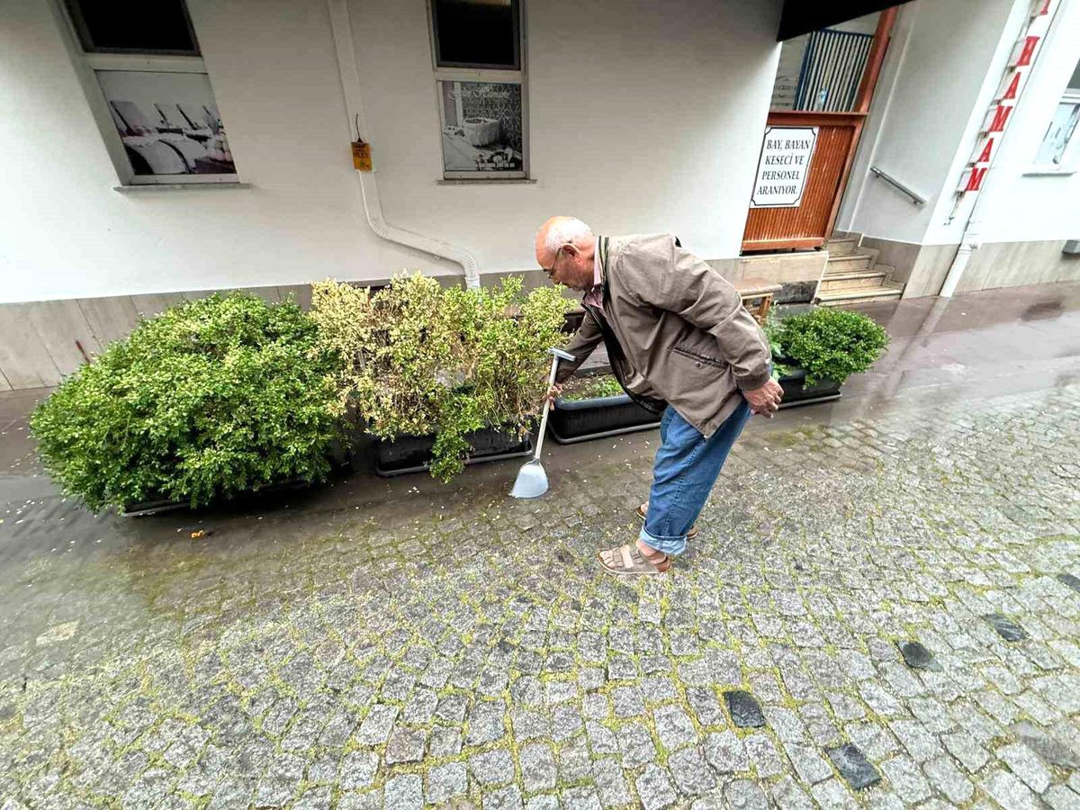Altyapı yetersizliği sebebi ile yol kenarında biriken su ile bitkileri suladı