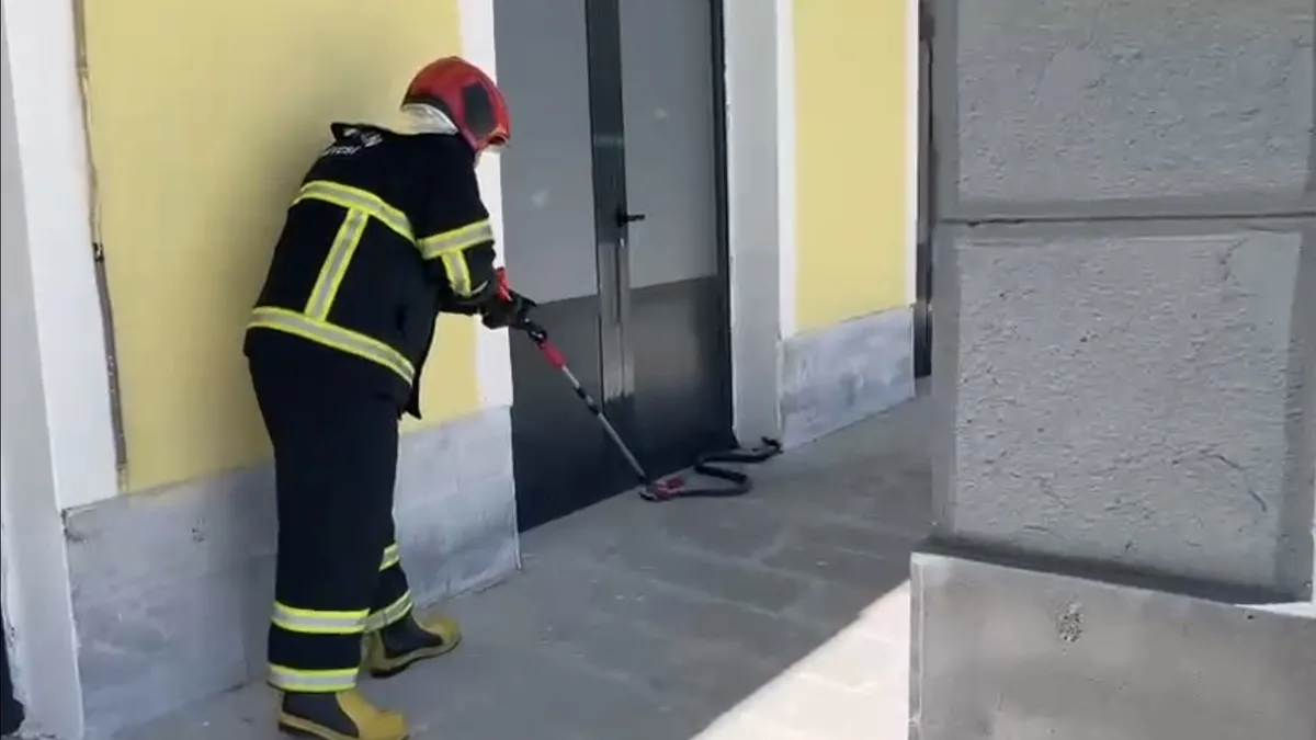 TCDD binasında yılan paniği! Ekipler harekete geçti
