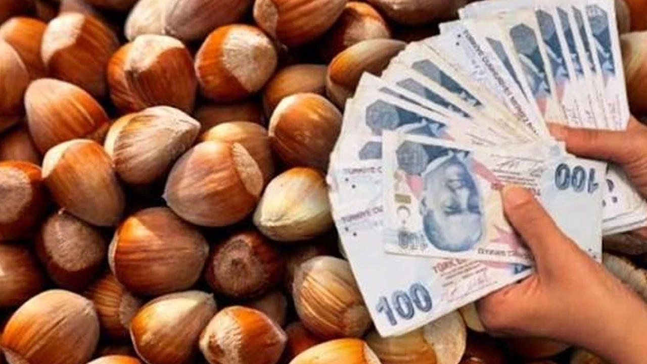 Fındık ihracatında zirve Trabzon’un: Payı yüzde 36,3’e ulaştı