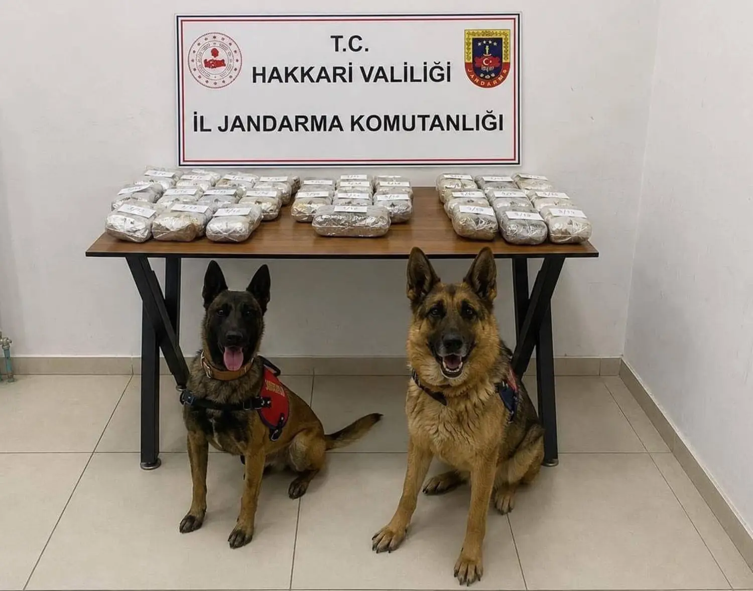 İhbar üzerine baskın: Kilolarca uyuşturucu ele geçirildi