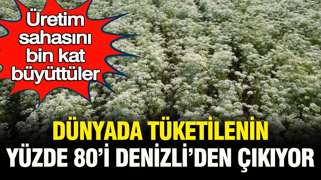 Üretim sahasını bin kat büyüttüler: Dünya’da tüketilenin yüzde 80’i Denizli’de üretiliyor