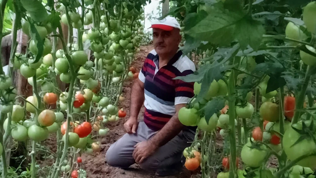 Korganlı üreticiden Türkiye'ye mesaj: Üretim varsa pazara elveda