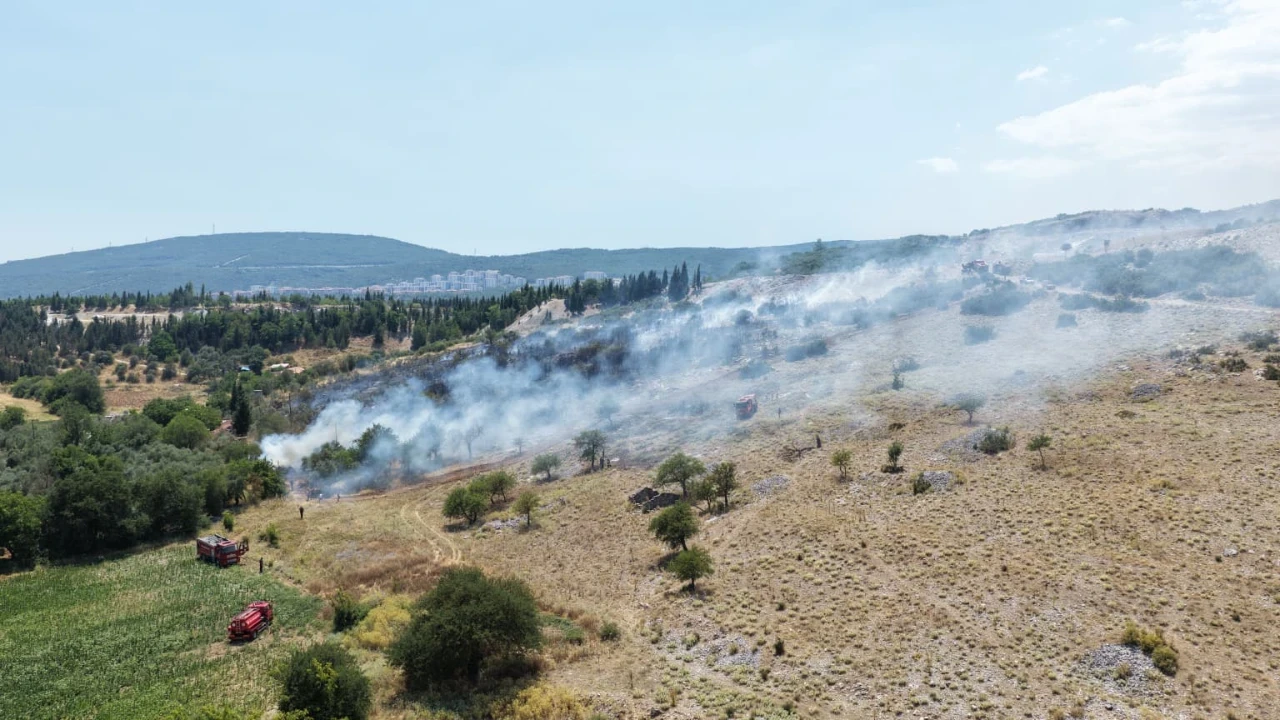 Muğla'da orman yangını