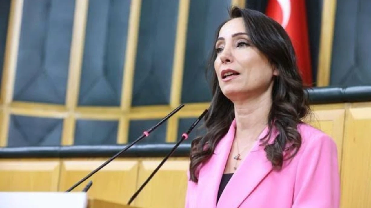 DEM Parti süreç yasası için 4 madde açıkladı