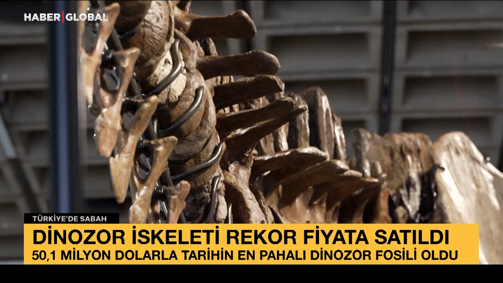 67 milyon yıllık dev iskelete rekor fiyat