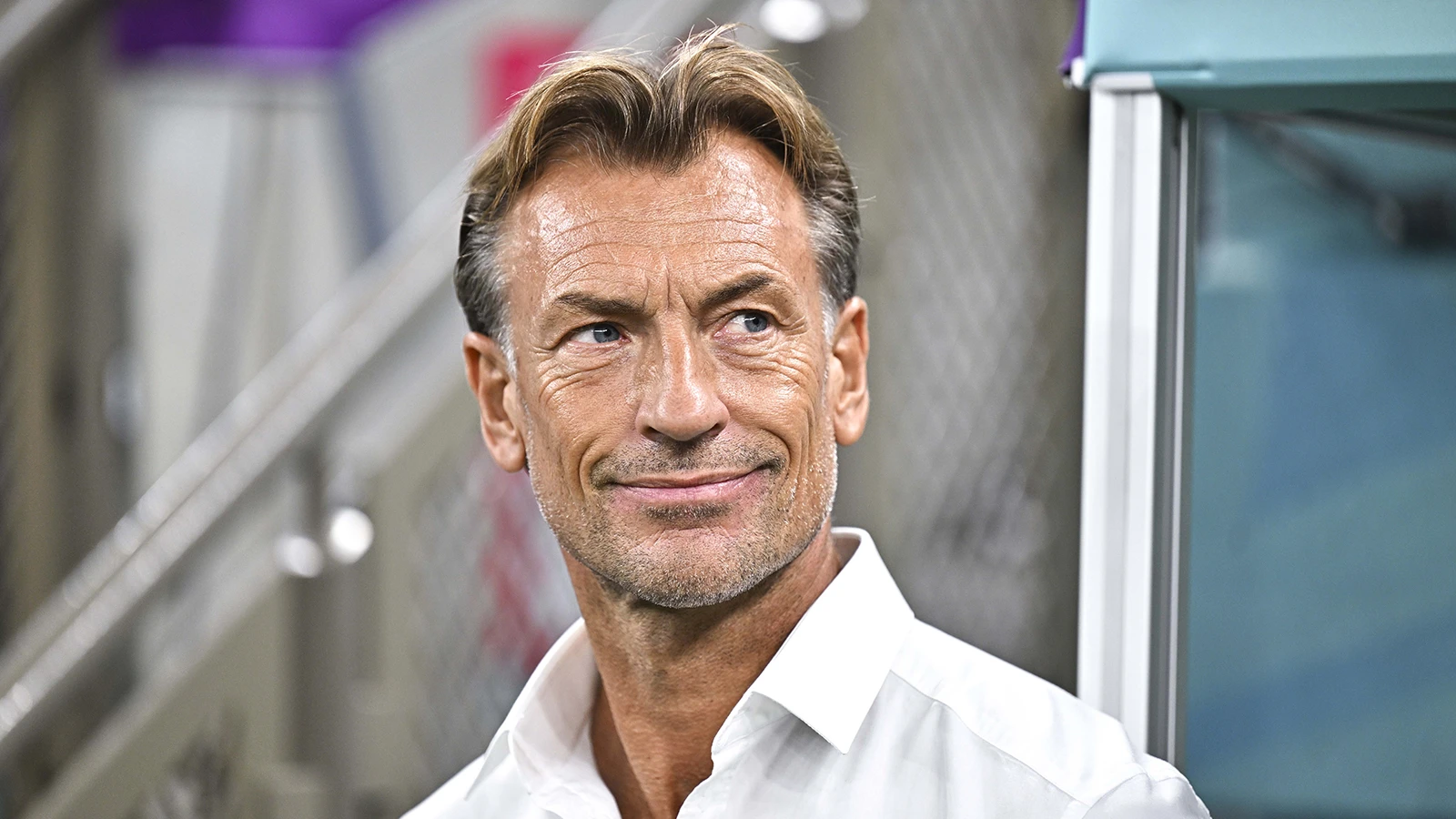 Dünya Kupası'nda teknik direktörü Lamouchi'yi gönderen Tunus Milli Takımı, Herve Renard'ı göreve getirdi