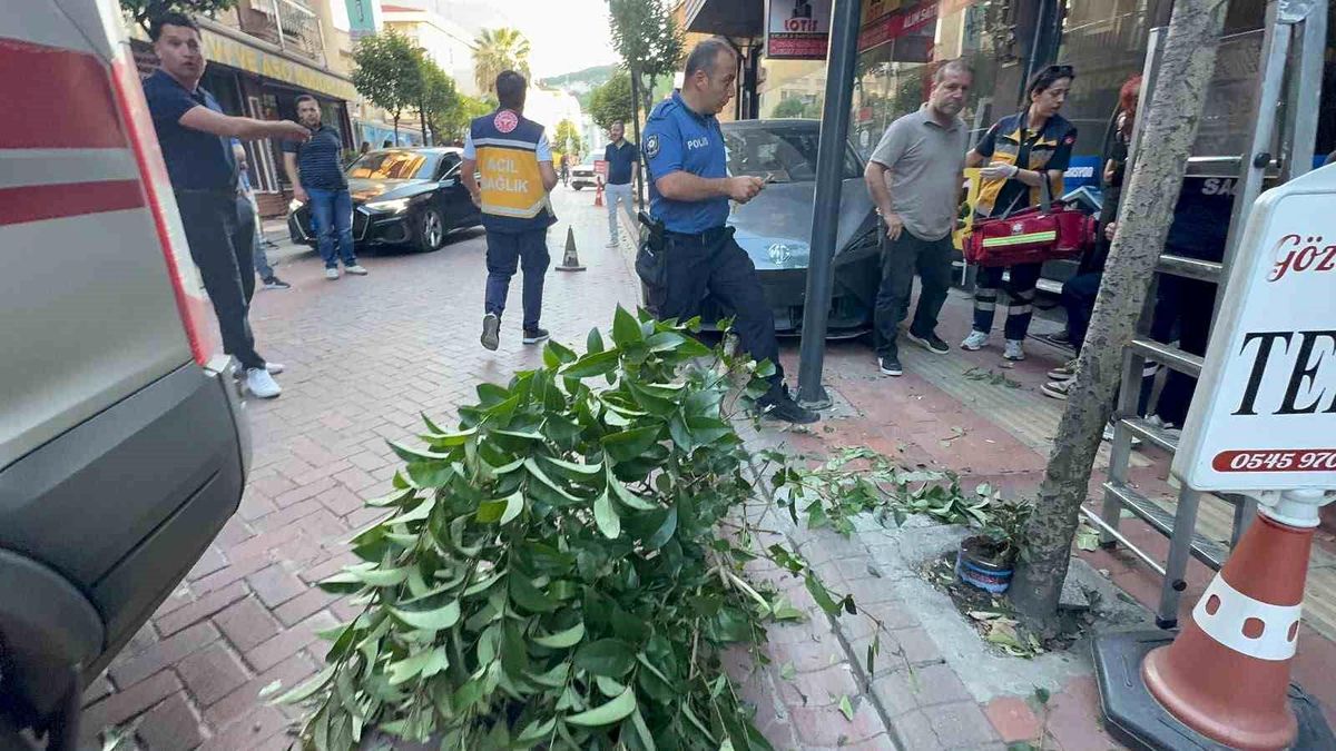 Fren yerine gaza bastı: İki ağacı devirip, duvara çarptıktan sonra durabildi