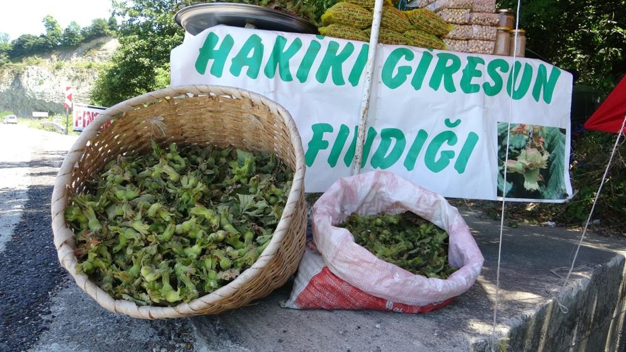 Yeni sezonun ilk fındığı tezgahlarda: Kilosu belli oldu!