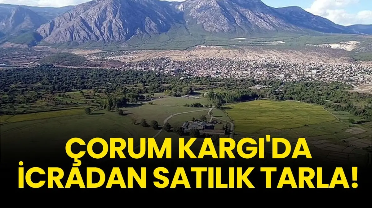 Çorum Kargı'da 21.700 metrekare icradan satılık tarla!