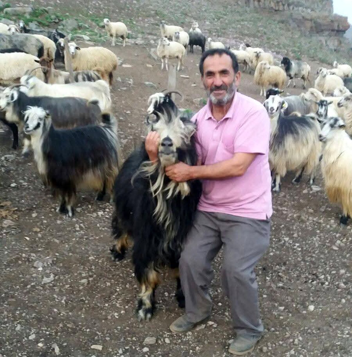 Şavşat Deresi'nde kaybolan babanın cansız bedenine ulaşıldı