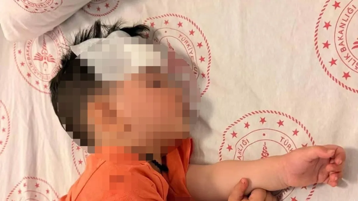 Başıboş köpek dehşeti! 1,5 yaşındaki çocuk ölümden döndü