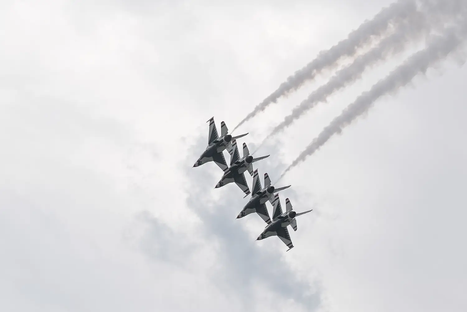 NASA, itiraza rağmen Washington'daki gösteride F-5 savaş uçağı uçurdu
