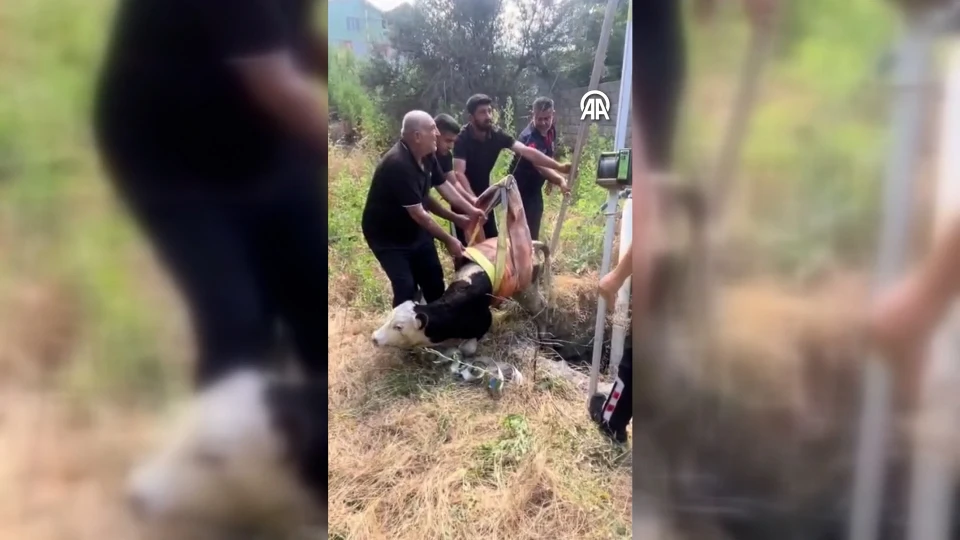 Osmaniye’de Su Kuyusuna Düşen Buzağı Kurtarıldı