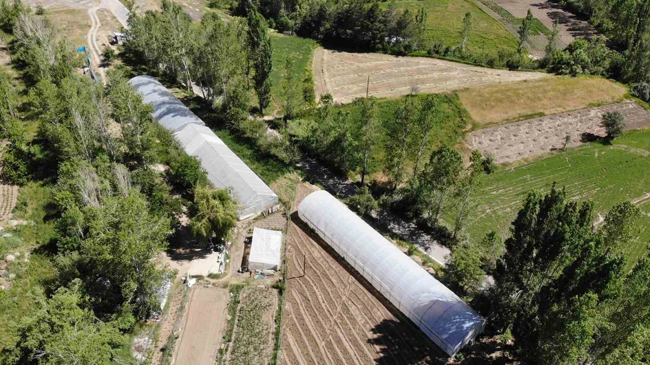 Bayburt’ta üreticilere yüzde 70 hibeli sera desteği: Tarih belli oldu
