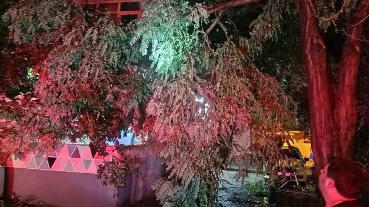 Erdek’te fırtına ve dolu yağışı: Ağaçlar devrildi, çatılar uçtu