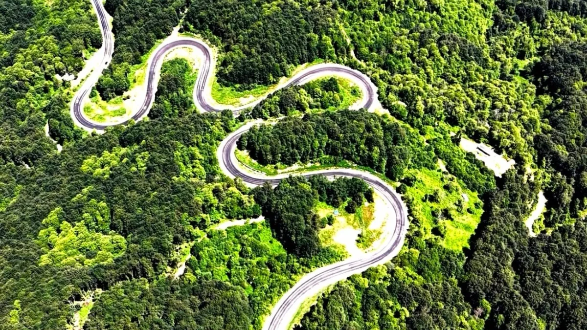 Eşsiz manzara dronla görüntülendi! Kıvrımlı yollar, eşsiz ağaçlar...