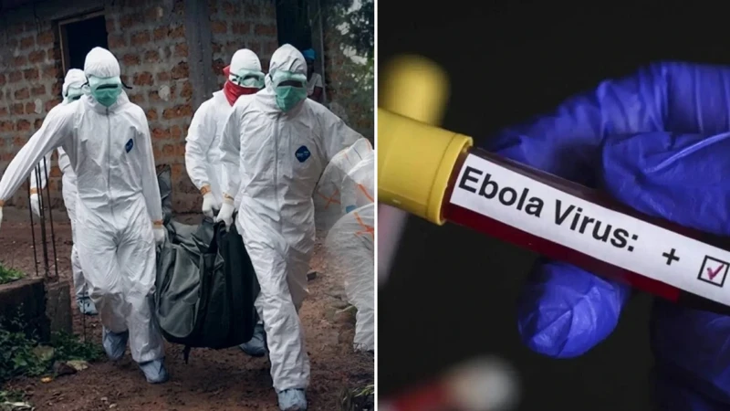 Ebola krizi büyüyor: Kongo'dan sonra Uganda'da vaka sayısı artıyor