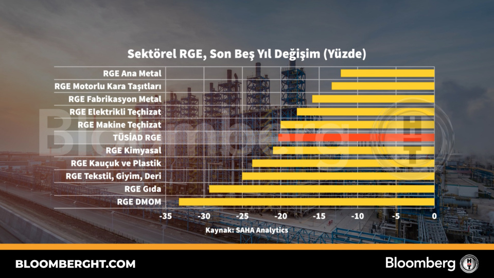 Sektörel RGE son beş yıl değişim