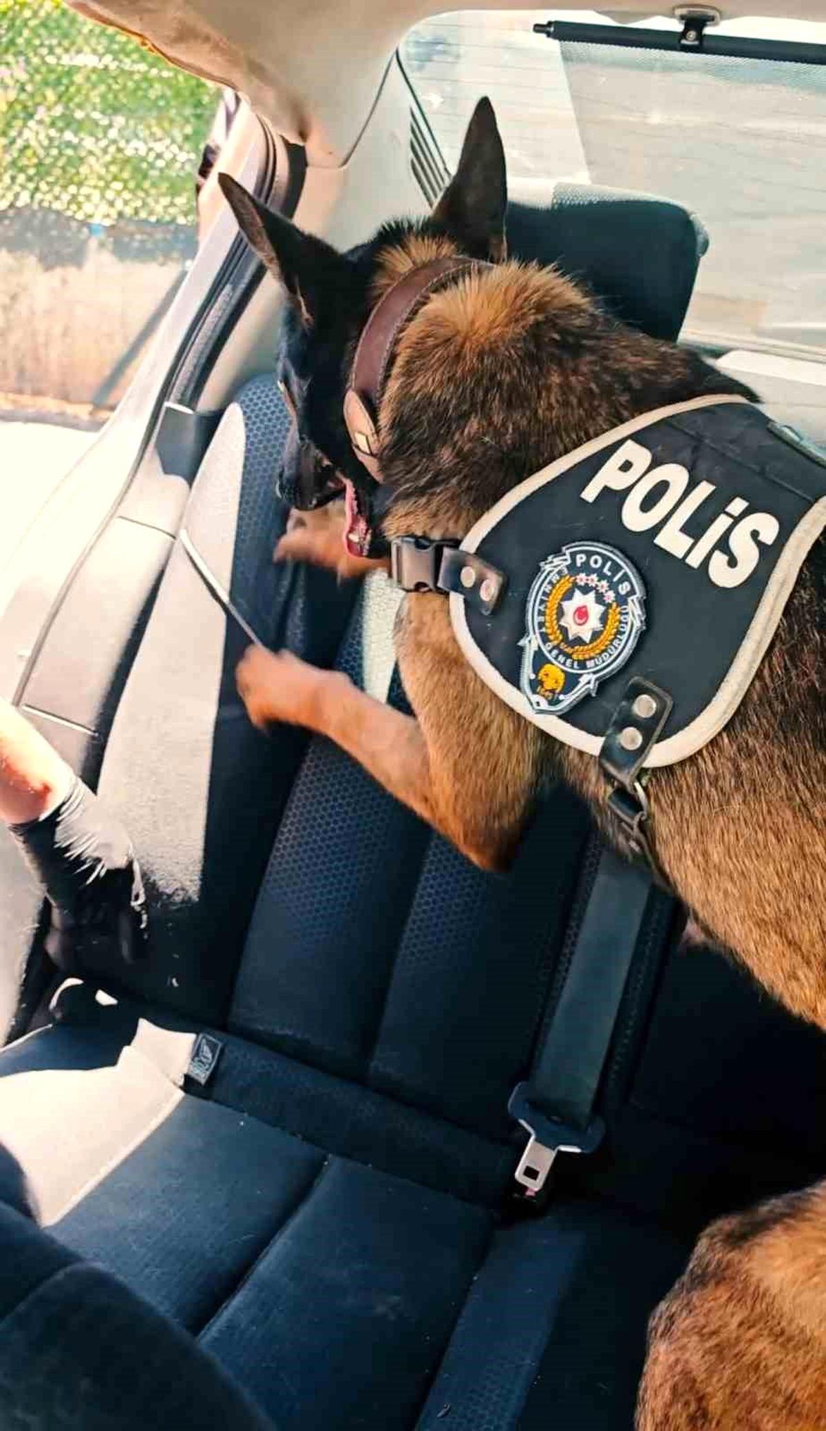 Muş'ta 60 kilogram uyuşturucu ele geçirildi